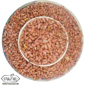 تصویر بادام زمینی ریز میانه 