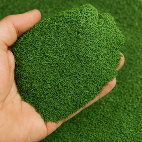 تصویر شوید خشک 