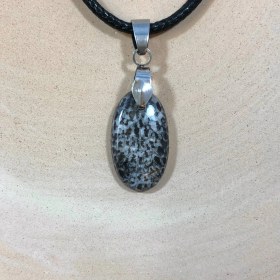 تصویر پلاک فسیل مرجان طبیعی 251146 