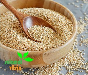 تصویر کینوا سفید پرو 