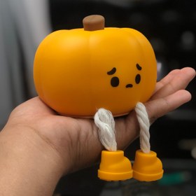 تصویر شبخواب کدو ناراحت 