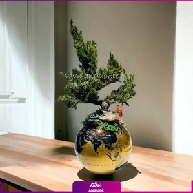 تصویر بونسای روی کره زمین 