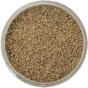 تصویر زنیان (سبزینیک) 125 گرم 