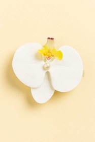 تصویر کلیپس طرح گل ارکیده 