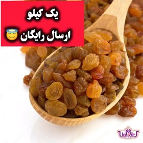 تصویر کشمش پلویی اعلا 500 گرمی اعتماد تمیز و نرم(تخفیف دار) 