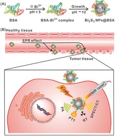 تصویر نانو ذرات سولفید بیسموت کونژوگه با تریپتورلین |Bi2S3@BSA- Triptorelin Bi2S3@BSA- Triptorelin nanoparticle