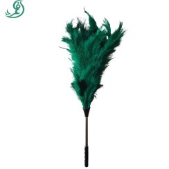 تصویر چوب پر شترمرغ بزرگ 