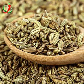 تصویر رازیانه 