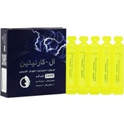 تصویر محلول خوراکی ال کارنیتین 1000 میلی گرم نورم لایف Oral Solution L Carnitine 1000 mg Norm Life