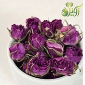 تصویر غنچه گل محمدی 