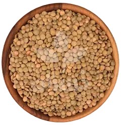 تصویر عدس درجه یک 