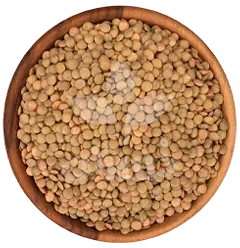 تصویر فروشگاه بازرگانی دُرریزان