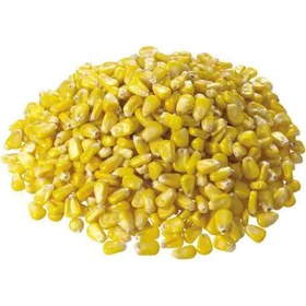 تصویر ذرت فله داناک - 5 کیلوگرم 