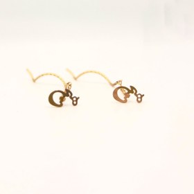 تصویر گوشواره کرلی هیچ 