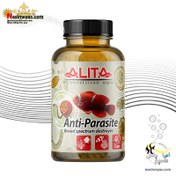 تصویر داروی ضد انگل آبزیان آنتی پارازیت آلیتا Alita Nitro bacter