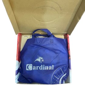 تصویر دیسک ترمز جلو کیا اپتیما برند کاردینال ساده - مصباح ترمز 