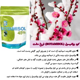 تصویر بوتامیسول نیم کیلویی فیوچراکو اسپانیا Botamisol