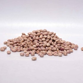 تصویر بذر لوبیا چیتی رقم صالح 