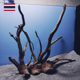 تصویر ریشه آبنوس کد1047 ارسال این ریشه رایگان می باشد