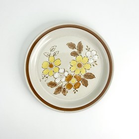 تصویر پلیت وایلد وود 