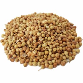 تصویر تخم گشنیز 