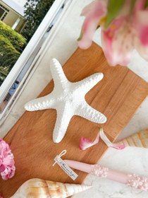 تصویر ستاره دریایی بزرگ 