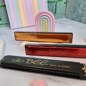 تصویر ساز دهنی بزرگ 