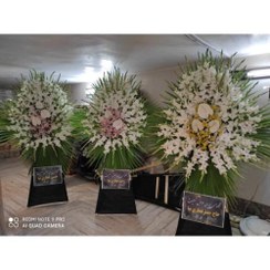 تصویر گلفروشی چند قدمی مسجد شادآباد تهران t742 