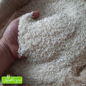 تصویر برنج طارم محلی ممتاز 