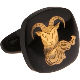 تصویر دکمه سردست کربن دی 