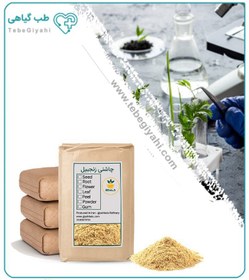 تصویر چاشنی زنجبیل فله 