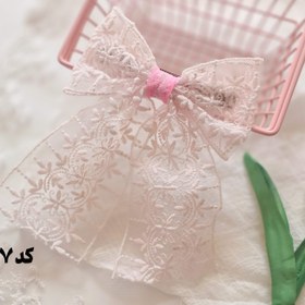 تصویر گیره پاپیون گیپور 