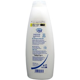 تصویر شامپو نچرال ویتال مدل روزانه حجم ۱۰۰۰ میلی لیتر Natural Vital shampoo, daily model, volume 1000 ml