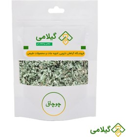 تصویر چوچاق خشک گیلامی ( Gilamie Erungium Planum ) 