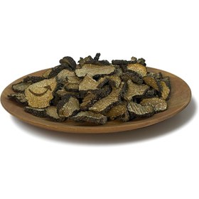 تصویر قارچ ترافل ۱۰۰ گرمی 