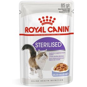 تصویر پوچ گربه بالغ عقیم شده رویال کنین مدل Royal Canin Sterilised in