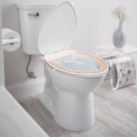 تصویر بیده توالت فرنگی راحت پاک 