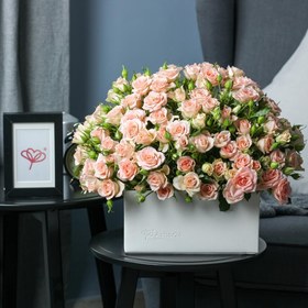 تصویر Pompon Peach | کد: ZNB-1EZY 