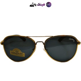 تصویر عینک آفتابی کارتیر دیاموند هارد مدل UV400-T8200589 