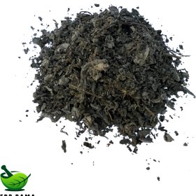 تصویر پونه کوهی 