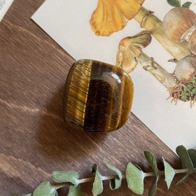 تصویر چشم ببر ۰۲ 