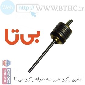 تصویر مغزی پکیج بی تا دیسک فنر شیرسه طرفه پکیج بی تا کد 9571 (B) 