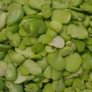 تصویر فروشگاه سبزیجات نشاطی