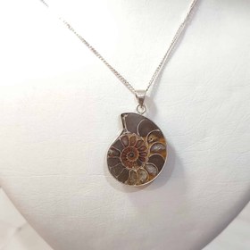 تصویر گردنبند نقره با فسیل آمونیت طبیعی اصل کد 61 (بدون زنجیر) 