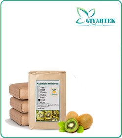 تصویر میوه کیوی خشک فله 