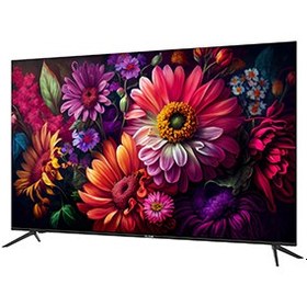 تصویر تلویزیون ال ای دی الیو 8740 سایز 65 اینچ LED TV 8740 size 65 inches