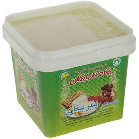 تصویر پنير بلغاری پگاه 400 گرم 