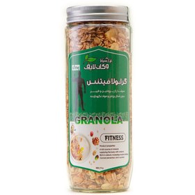 تصویر گرانولا فیتنس 