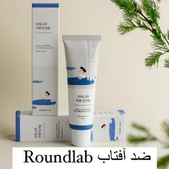 تصویر Round lab birch moisturizing sunscreen spf 50+ pa ++++ محافظت 