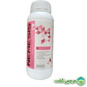 تصویر Nemesis Boron Perinova نِمِسیس بُر (بور) پرینوا 